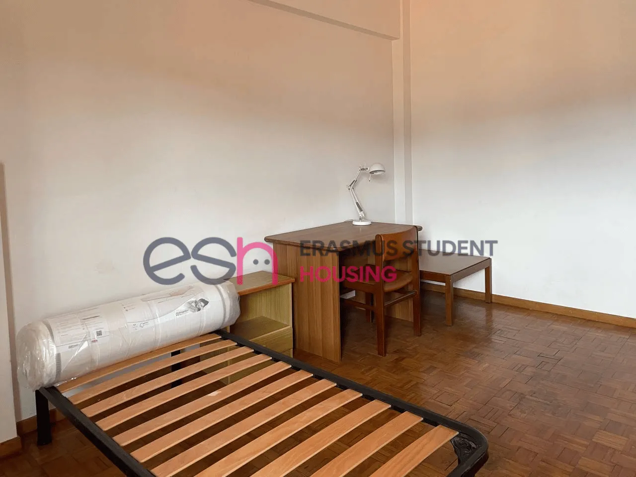 Private room in Pisa photo 3
